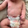 Baby Shyla